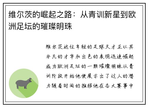 维尔茨的崛起之路：从青训新星到欧洲足坛的璀璨明珠